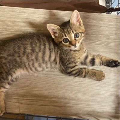 pr_manami0221's profile picture. 