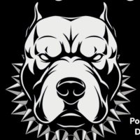 DL/LB Elite Dawgz Training (OH) (@elitedawgz_) 's Twitter Profile
