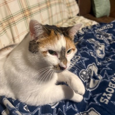 IamDrK2025's profile picture. I'm not like this because I'm in Van Halen. I'm in Van Halen because I'm like this.