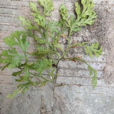 ganx462's profile picture. 