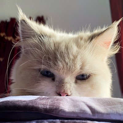 wrilanda's profile picture. XXI • Just be yourself