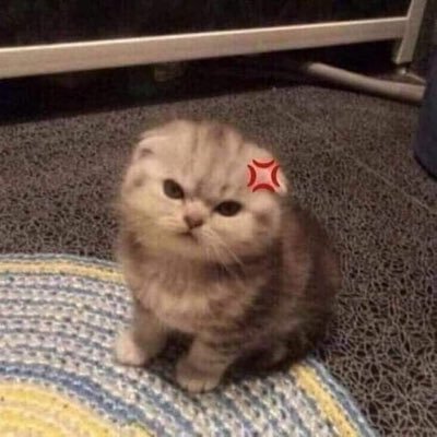 sunshinewdaisy's profile picture. Growing shine🤍✨ ||🌼 @tnbau1 ||🧸 @besevboom ||💎 @treasuremembers ||🦔#CHOIHYUNSUK ||