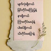 Peacemaker49 (@peacemaker64857) 's Twitter Profile