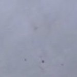 king_princ43158's profile picture. 