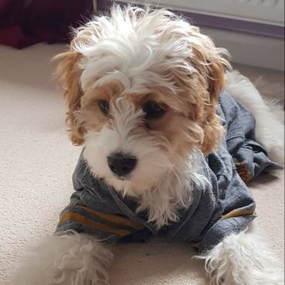 TPartridge1977's profile picture. 