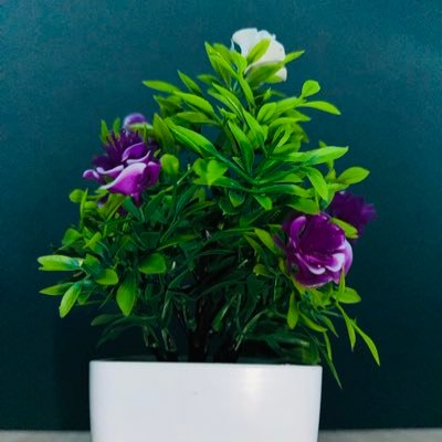 Hhussai34784364's profile picture. 