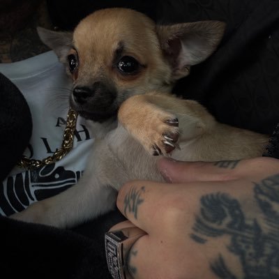 BarryBaumX's profile picture. just barry