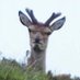 gubbel (@gubbel_8) Twitter profile photo gubbel (@gubbel_8) Twitter profile photo