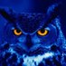 galoazul💙 (@kallo_iv) Twitter profile photo galoazul💙 (@kallo_iv) Twitter profile photo