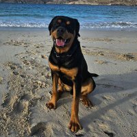 Scotty (@craigscott33) 's Twitter Profile