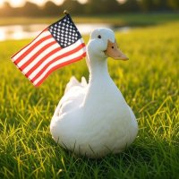 ButtQuacks (@buttquackers) 's Twitter Profile
