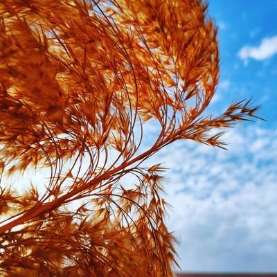 Ghada89477752's profile picture. Human being & UX/UI Designer | Weaving stories through design, capturing life through the lens.