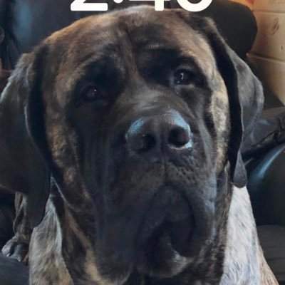 Kara40382776763's profile picture. 