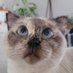 Fırat Gündoğdu (@firatgd) Twitter profile photo Fırat Gündoğdu (@firatgd) Twitter profile photo