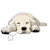 motidog【Home Company】 (@motidoghc) Twitter profile photo
