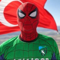 izmitlispiderman41 (@izmitlispi41) 's Twitter Profile