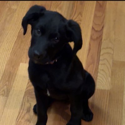 bnuyrichi's profile picture. eternal sunshine