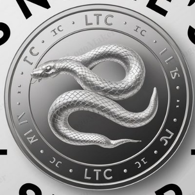 SnakesSilverLTC's profile picture. Time in the market.... right?