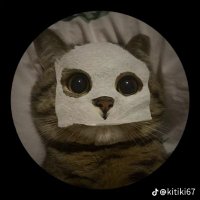 Cee (@cee9995) 's Twitter Profile