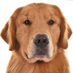 AdnanSlef (@adnanslef) Twitter profile photo AdnanSlef (@adnanslef) Twitter profile photo