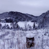 Mutlu95 (@mutlu95424165) 's Twitter Profile
