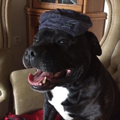 Glich1874's profile picture. 2 konto @Glich1874K