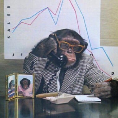 thatboy_mccoy's profile picture. king of comfort. former child. bread connoisseur. still down w/ mixtapes. covered in dog hair.