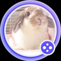 凪 (@nagi0o_o0) 's Twitter Profile Photo