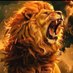 jose giorgio (@josegiorgio6) Twitter profile photo jose giorgio (@josegiorgio6) Twitter profile photo