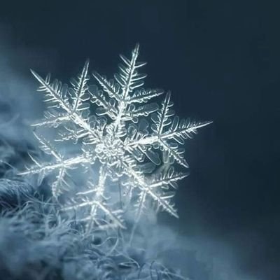 Windさんのプロフィール画像