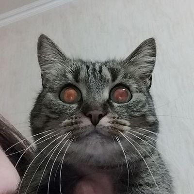 горобецьさんのプロフィール画像