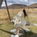 Sunflower🌻 (@sunflower_fgg) Twitter profile photo Sunflower🌻 (@sunflower_fgg) Twitter profile photo