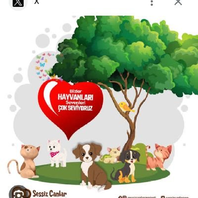 ErenZaman258161's profile picture. Işıgı önünde ara geçmişde kalan gölgendir.