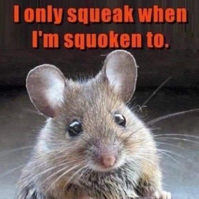 AldiniTheSubpar's profile picture. to goon or not to goon…that is the question…. || 18 y/o || please lmk if i’m following any weirdos i don’t intend to do that