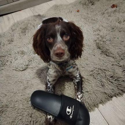 Mrk68431750's profile picture. True British 🇬🇧