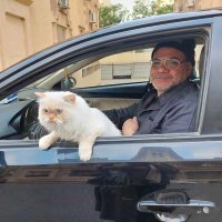 Khaled Hegazy (@khaled_h64) 's Twitter Profile