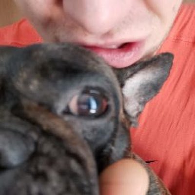 gibax56's profile picture. 