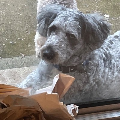 carsonioski's profile picture. BLAZERS

Adrian is the goat fym

ibou.badji on Real