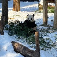 TW (@tmawelsh) 's Twitter Profile