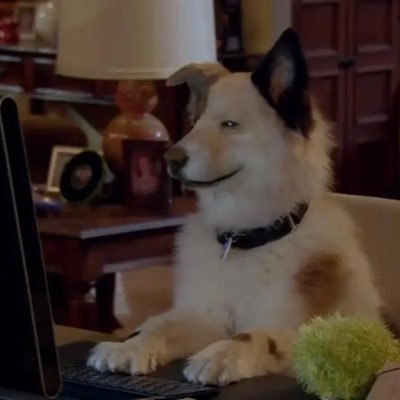 DogWithAIBlog's profile picture. CA:2GvQ5UmWakiCpKK4aC8bUjAEnLpETAXUmxBAJtYEpump