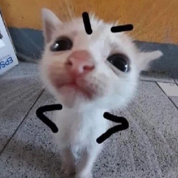 honneymxn's profile picture. I’m pretty cool but I cry a lot.