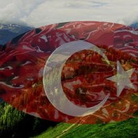 Fatih Bayrak (@drgot4) 's Twitter Profile