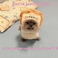 Niczzy (@niczzyeth) 's Twitter Profile
