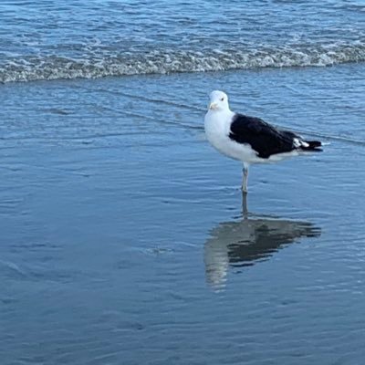 lewisfam505's profile picture. 