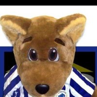 Triggerbones (@trevorj11731599) 's Twitter Profile