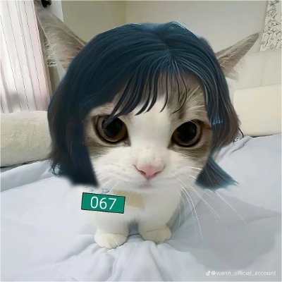 Virazónさんのプロフィール画像