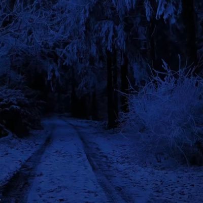 iwillforgetu_'s profile picture. عزله تعزك ولا قربٍ يذلك.