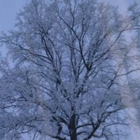 🤍 (@x_januarkind) 's Twitter Profile