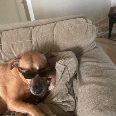 KLaporte1108's profile picture. 