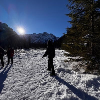 west_femi's profile picture. 